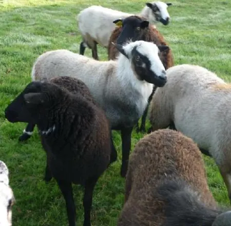 La Casa Du Clos Ла-Бернери-ан-Рец