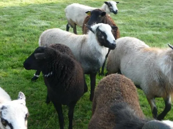 La Casa Du Clos Ла-Бернери-ан-Рец